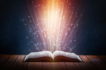 坦克世界T110E3和E-100坦克歼击车哪个更好-分别该怎么用？