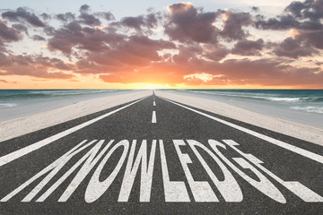 坦克世界T110E3和E-100坦克歼击车哪个更好-分别该怎么用？