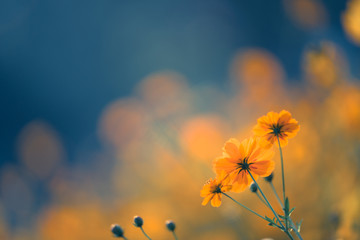 别克英朗去雾气是哪个按键(别克英朗按键灯开关在哪)