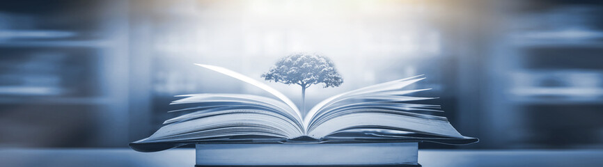 急求 从北京到宁晋的长途客车最早几点.从哪发车