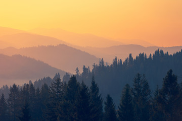 宝马118i二手车价格