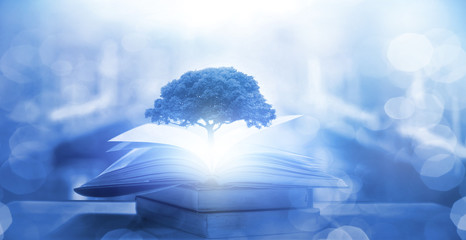 大众polo换离合器片多少钱