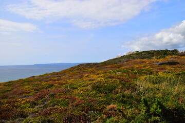 惠风和畅的意思是什么