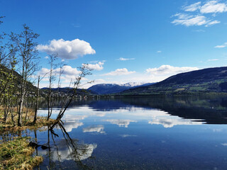 坦克世界T110E3和E-100坦克歼击车哪个更好-分别该怎么用？