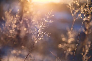 为什么京东、途虎上的轮胎比实体店便宜那么多-