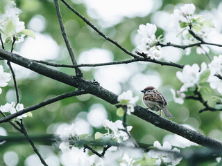 汽车空调耗油量大吗