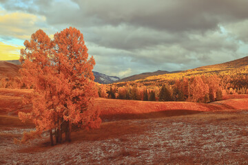 大众polo换离合器片多少钱
