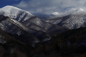 坦克世界T110E3和E-100坦克歼击车哪个更好-分别该怎么用？