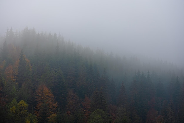 急求 从北京到宁晋的长途客车最早几点.从哪发车