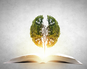 惠风和畅的意思是什么