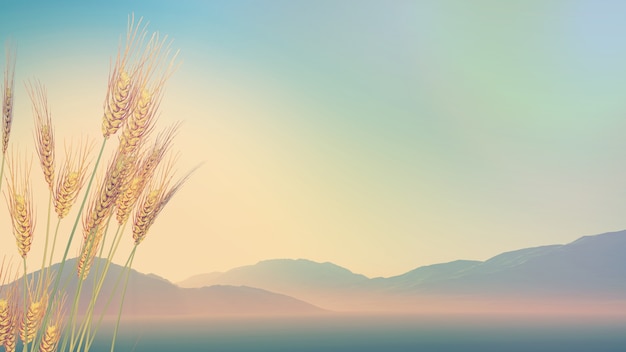 汽车空调耗油量大吗