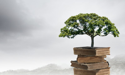 急求 从北京到宁晋的长途客车最早几点.从哪发车