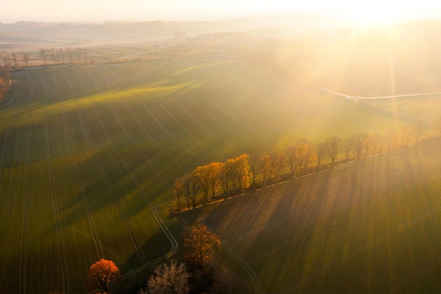 惠风和畅的意思是什么